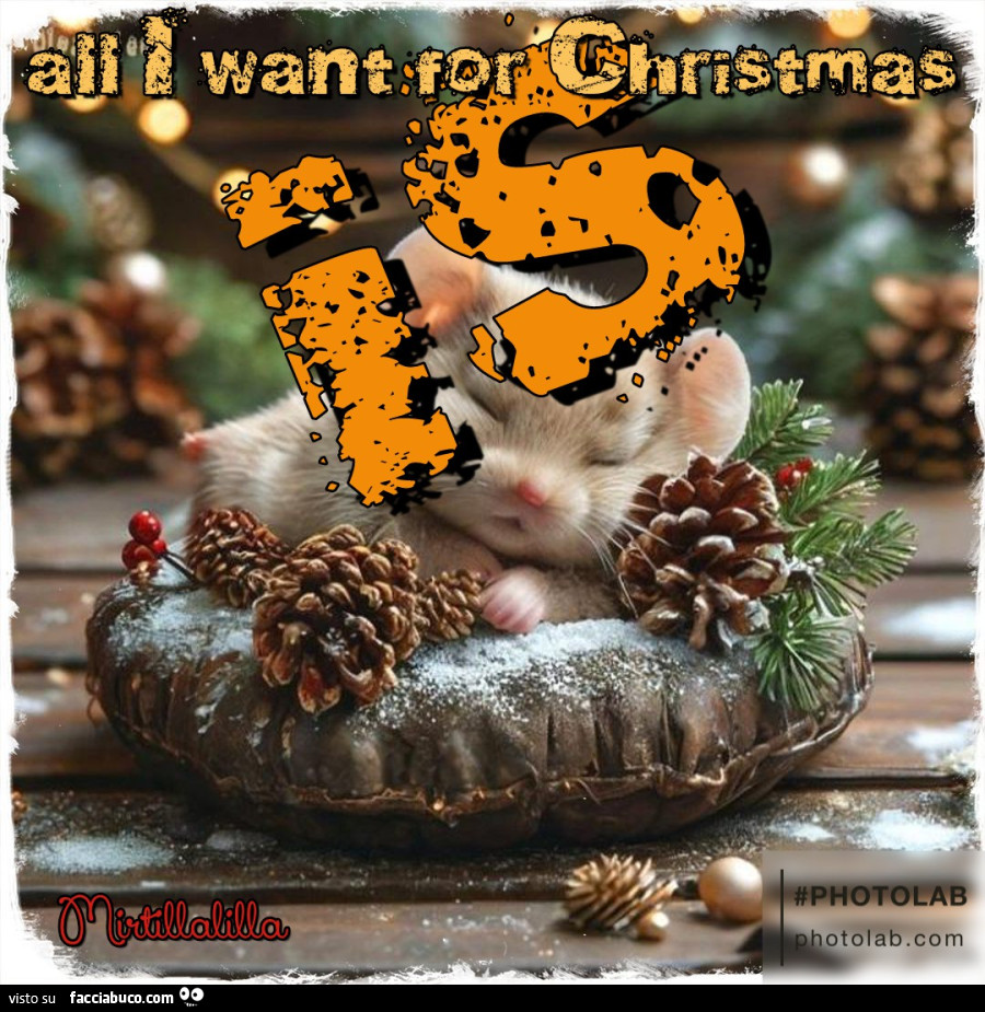 All I want for Christmas