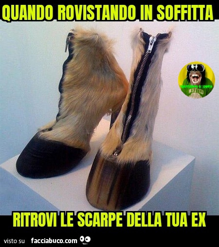 Quando rovistando in soffitta ritrovi le scarpe della tua ex