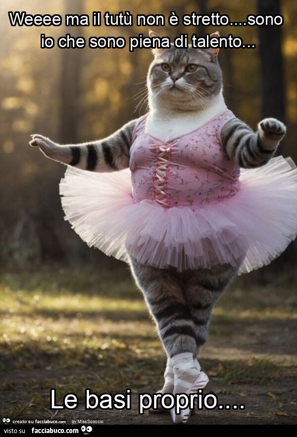 Weeee ma il tutù non è stretto&hellip; sono io che sono piena di talento&hellip; le basi proprio