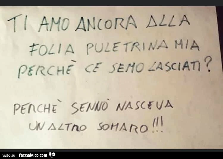 Vaccata
