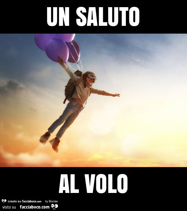 Un saluto al volo