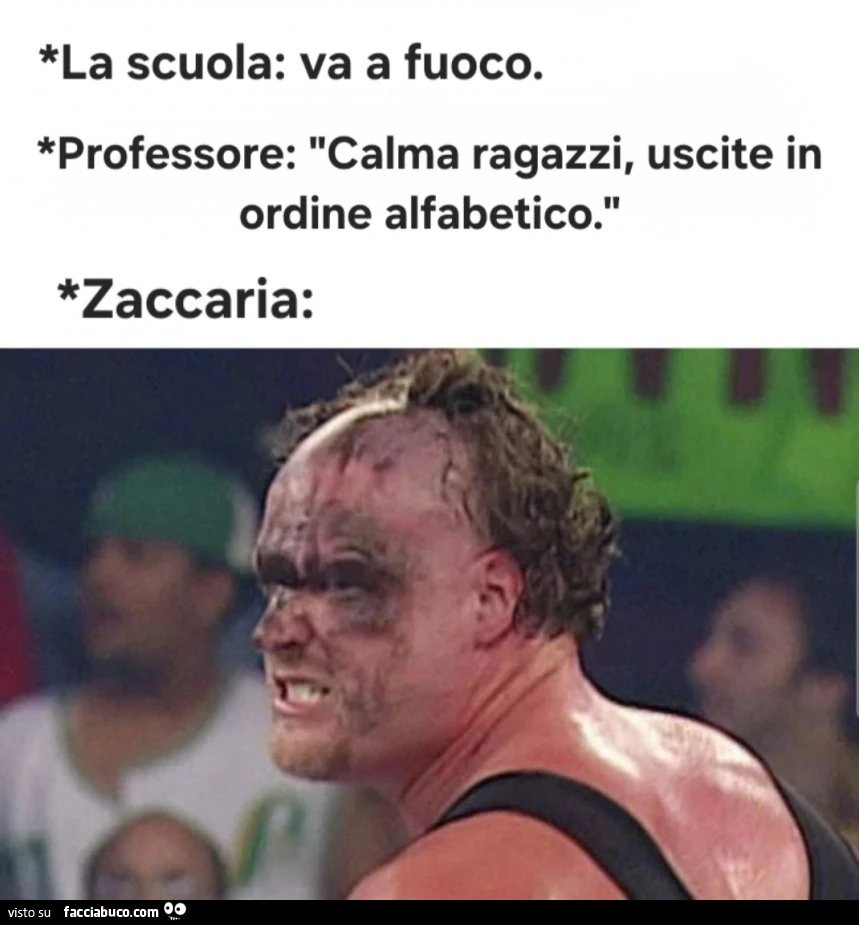 Vaccata