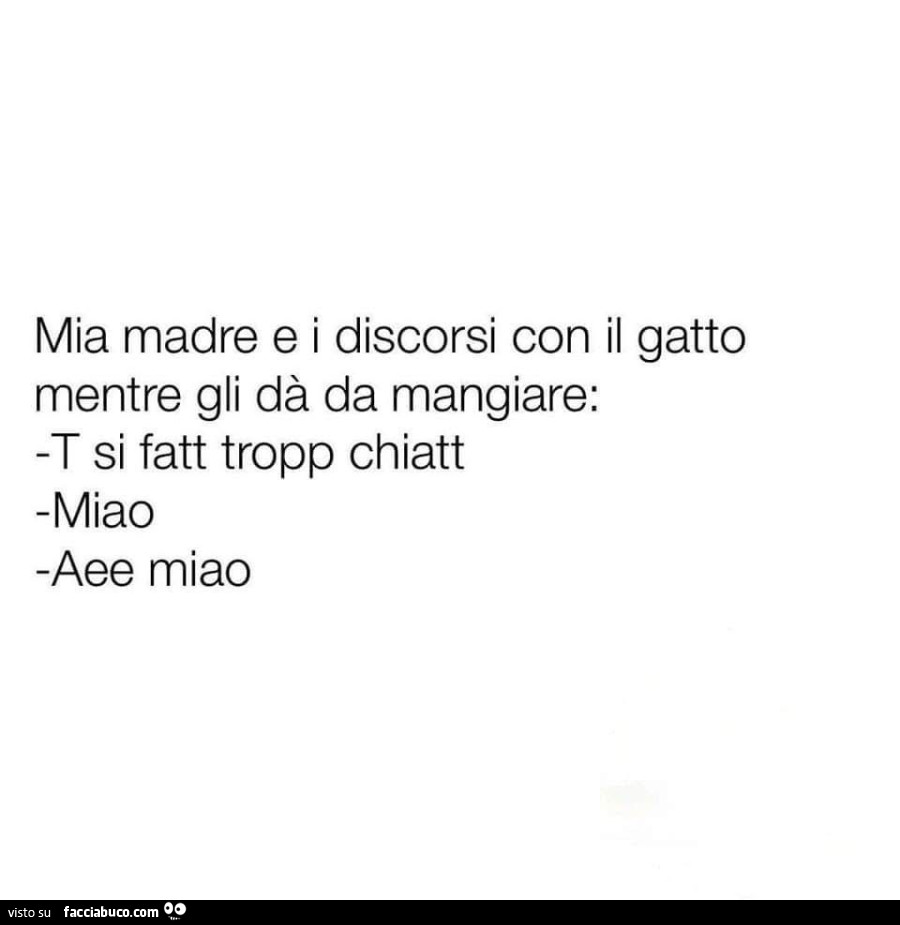 Mia madre e i discorsi con il gatto mentre gli dà da mangiare: t si fatt tropp chiatt. Miao. Aee miao