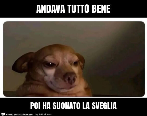 Andava tutto bene poi ha suonato la sveglia