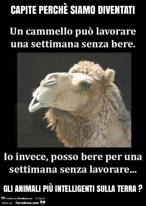 Capite perchè siamo diventati gli animali più intelligenti sulla terra?
