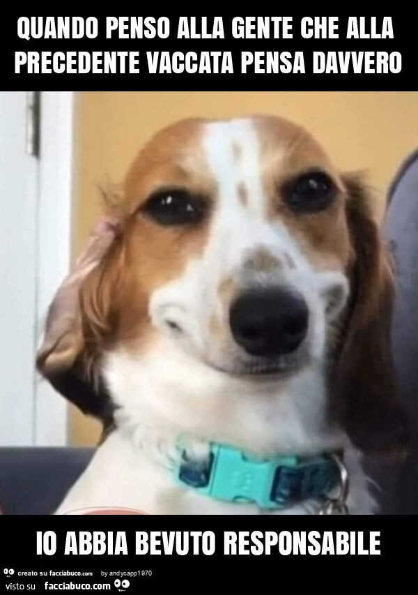 Quando penso alla gente che alla precedente vaccata pensa davvero io abbia bevuto responsabile