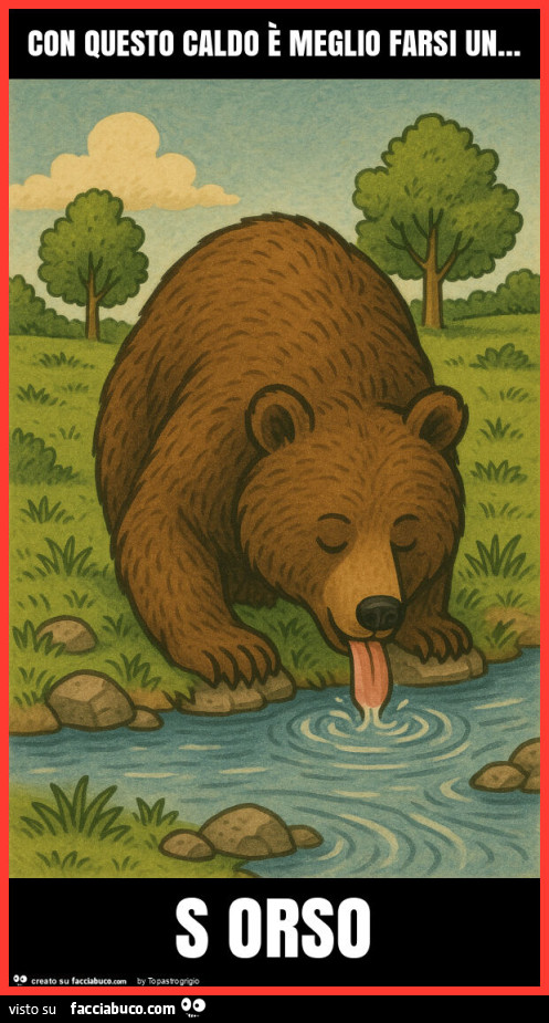 Con questo caldo è meglio farsi un… s orso