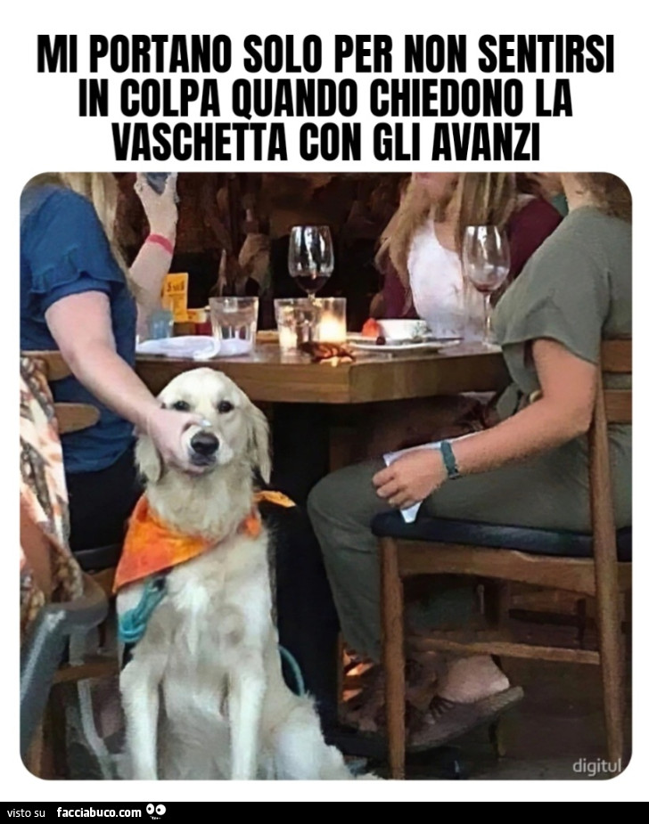 Mi portano solo per non sentirsi in colpa quando chiedono la vaschetta con gli avanzi cane