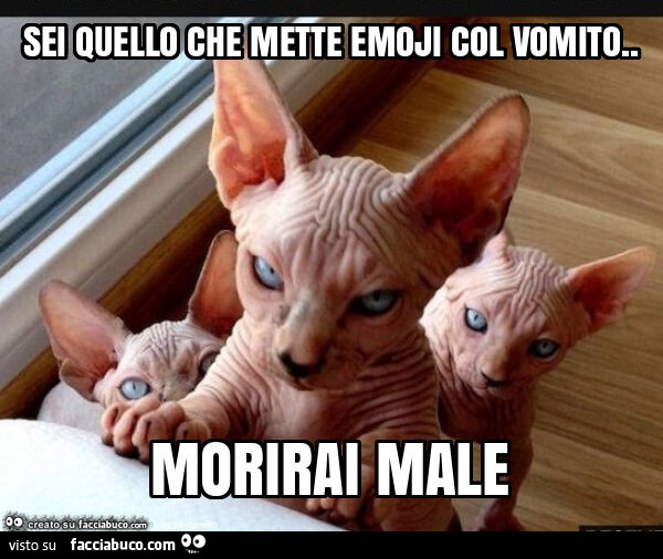 Sei quello che mette emoji col vomito. Morirai male