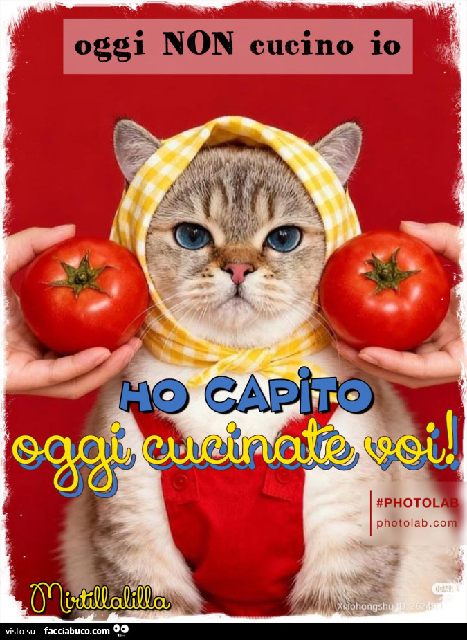 Oggi cucinate voi