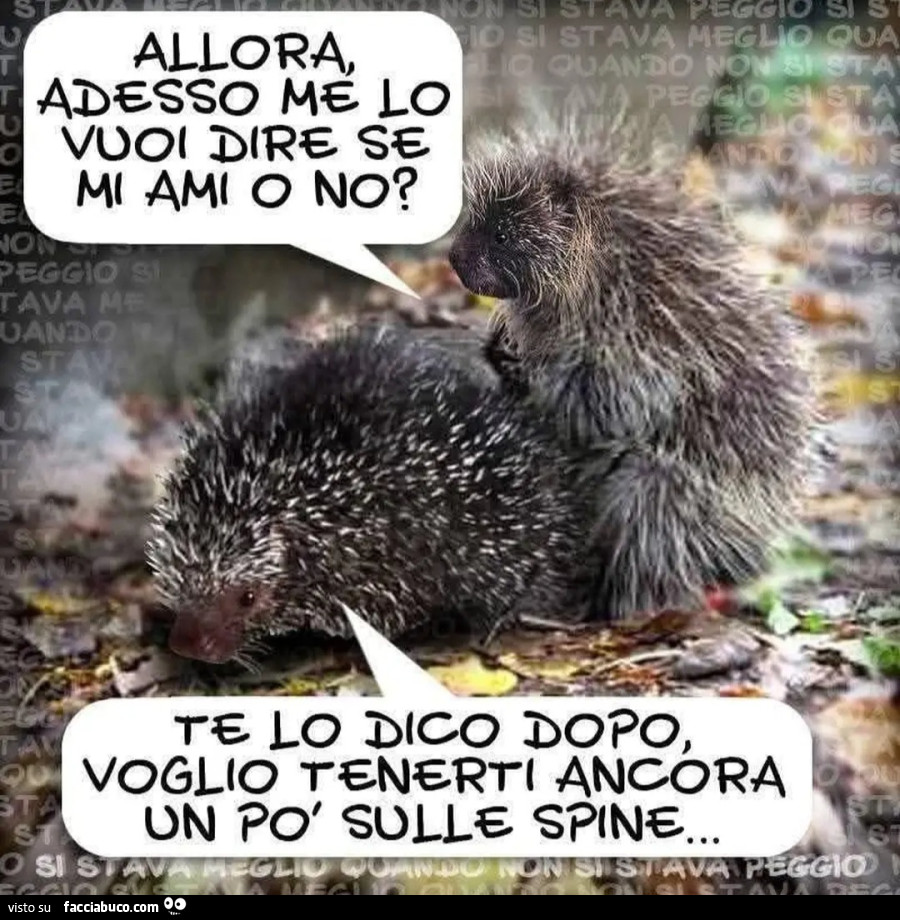 Allora adesso me lo vuoi dire se mi ami o no te lo dico dopo voglio tenerti ancora un po' sulle spine ricci