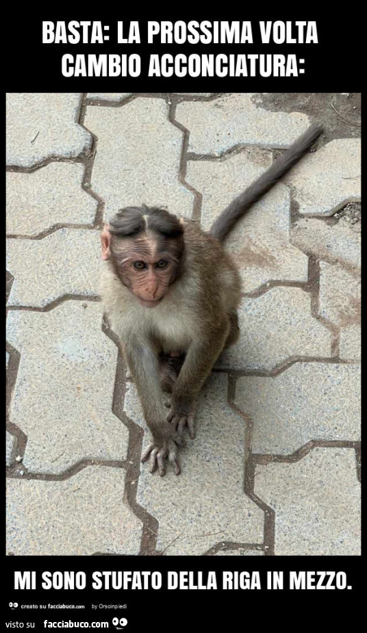 Basta: la prossima volta cambio acconciatura: mi sono stufato della riga in mezzo