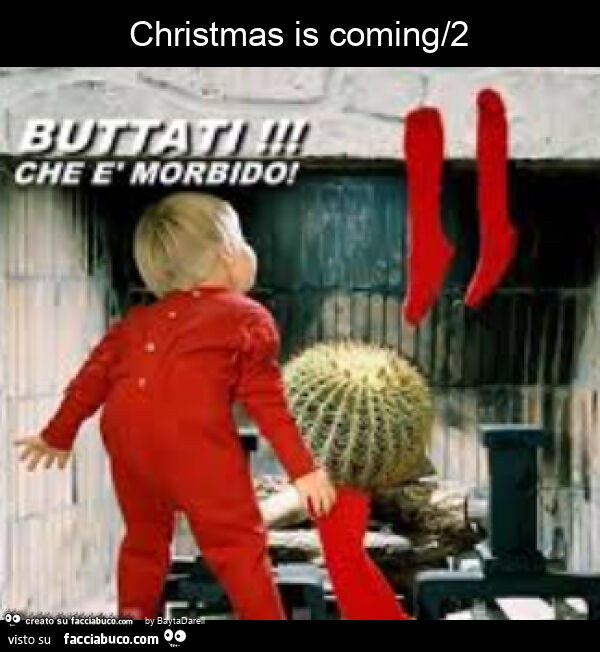 Christmas is coming/2. Buttati che è morbido