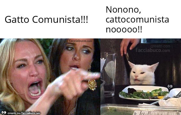 Gatto comunista! . Nonono, cattocomunista nooooo