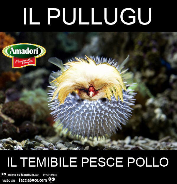 Il pullugu il temibile pesce pollo