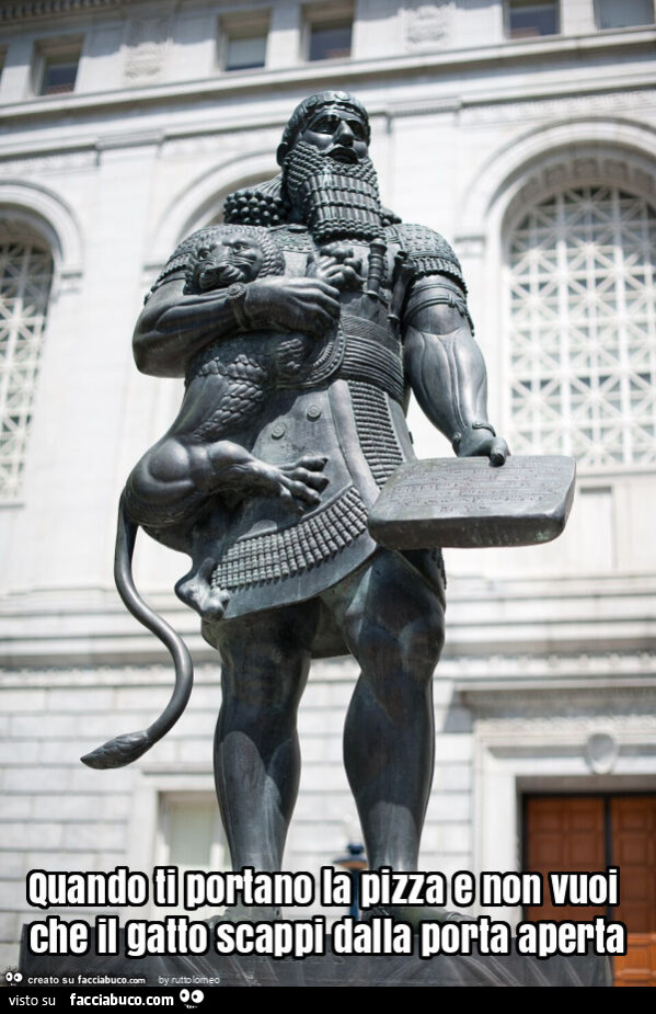 Quando ti portano la pizza e non vuoi che il gatto scappi dalla porta aperta
