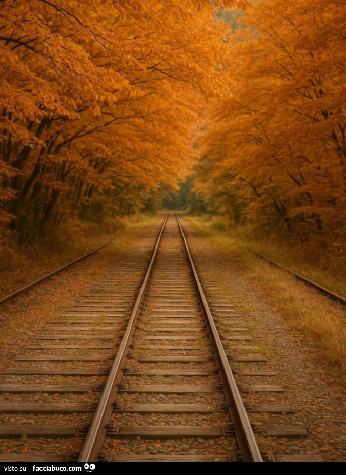Giallo d'inverno, una bellissima poesia di Lauro Venturi sul colore delle foglie che cadono in autunno cercando di resistere, con il loro colore, a tutte le brutture del mondo