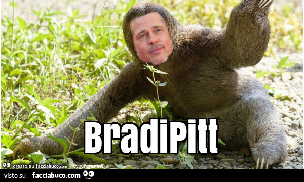 Bradipitt