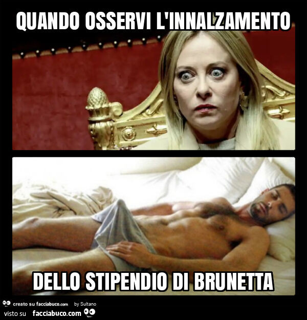 Quando osservi l'innalzamento dello stipendio di brunetta