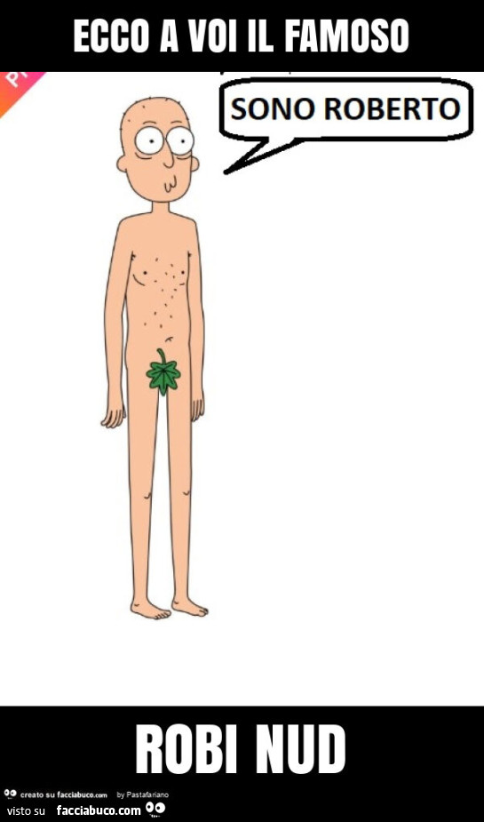 Ecco a voi il famoso robi nud