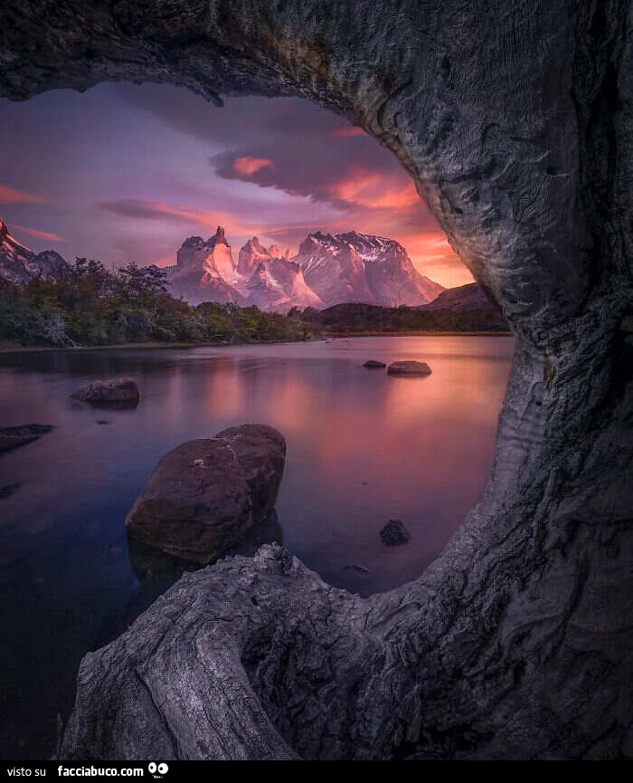 Alba in Patagonia, Cile. Ph Joyce Bealer