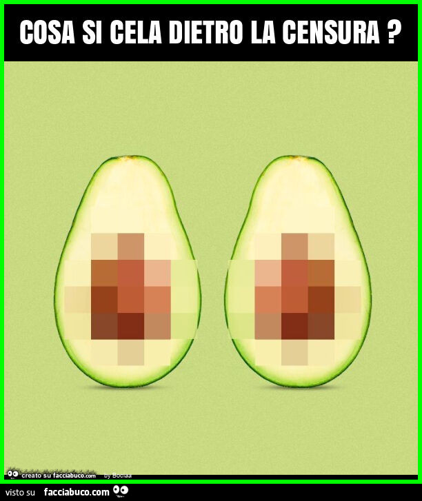 Cosa si cela dietro la censura?