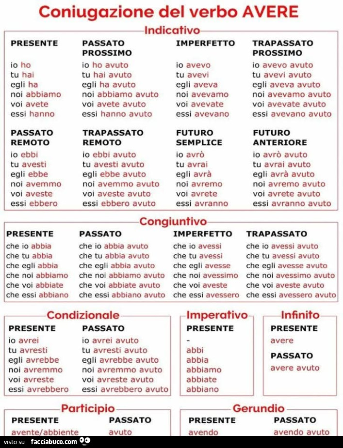 Coniugazione del verbo avere