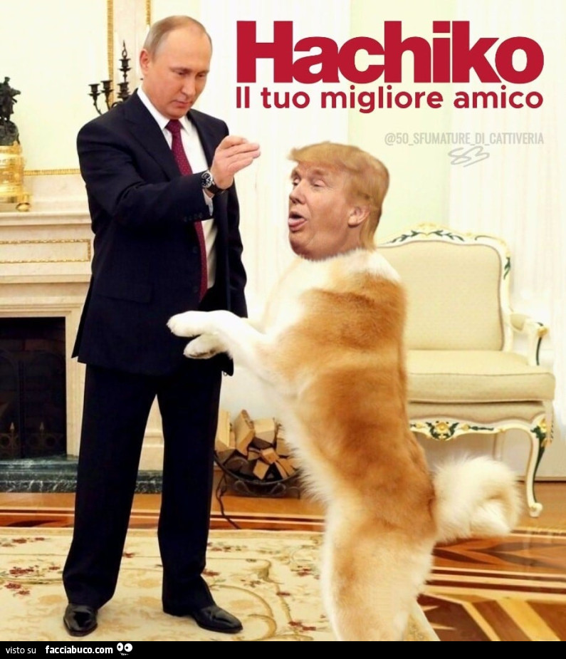 Hachiko - Il tuo migliore amico