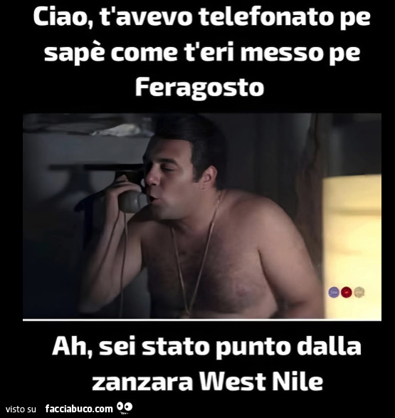 Vaccata