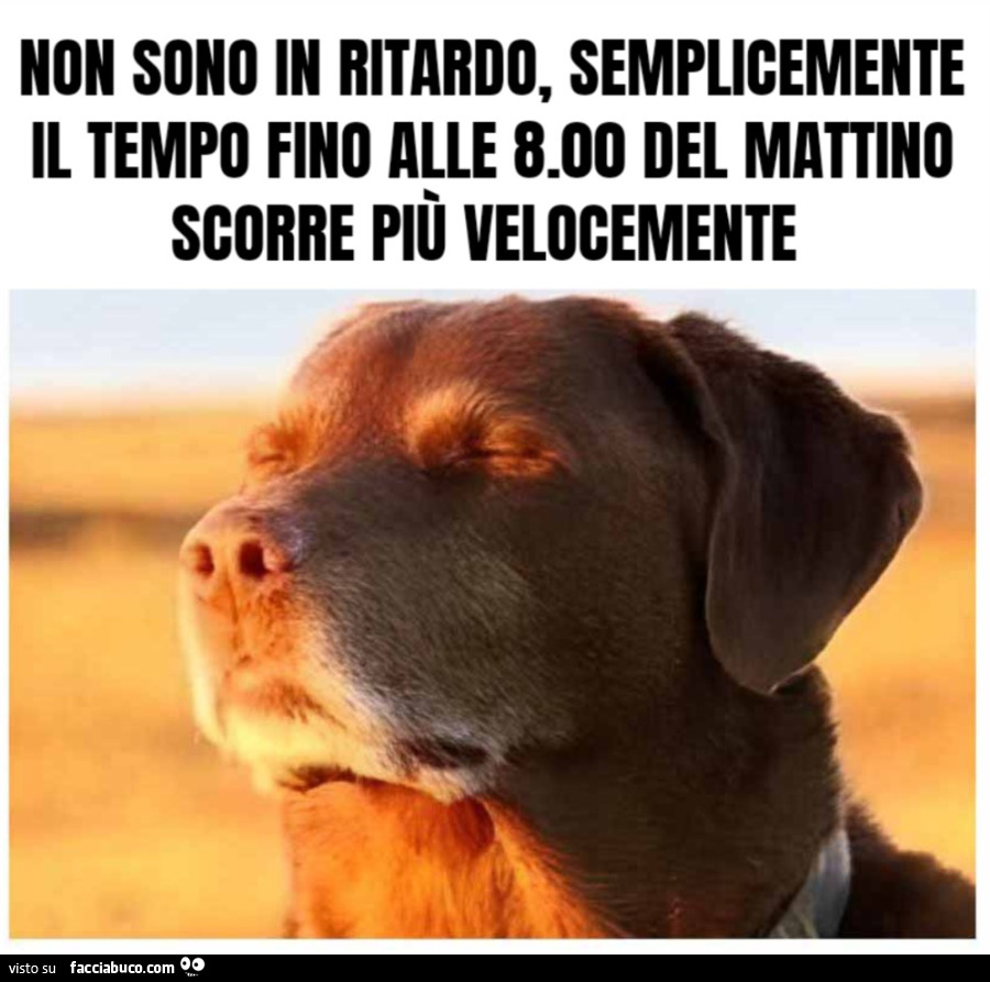 Non sono in ritardo, semplicemente il tempo fino alle 8.00 del mattino scorre più velocemente