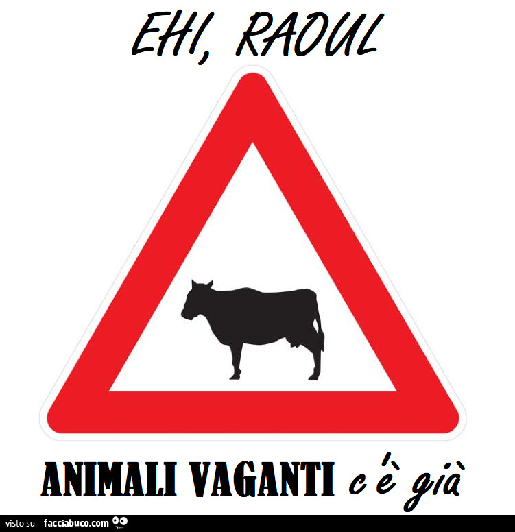 Vaccata
