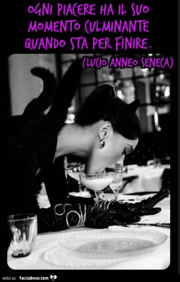 Ogni piacere ha il suo momento culminante quando sta per finire. Lucio anneo seneca