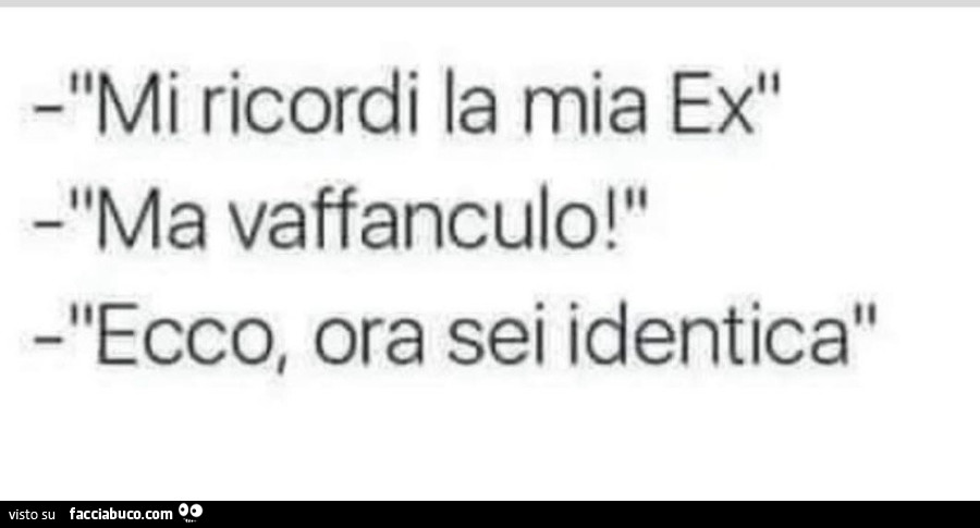 Mi ricordi la mia ex. Ma vaffanculo! Ecco, ora sei identica