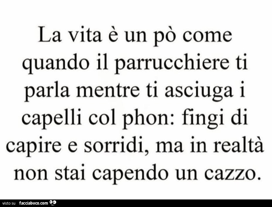 La vita è un po' come quando il parrucchiere ti parla mentre ti asciuga i capelli col phon: fingi di capire e sorridi, ma in realtà non stai capendo un cazzo