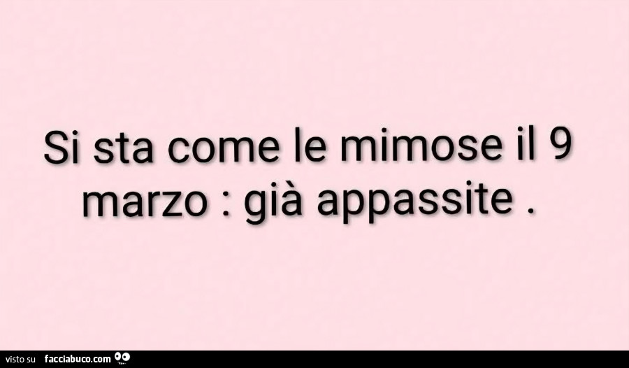 Si sta come le mimose il 9 marzo: già appassite