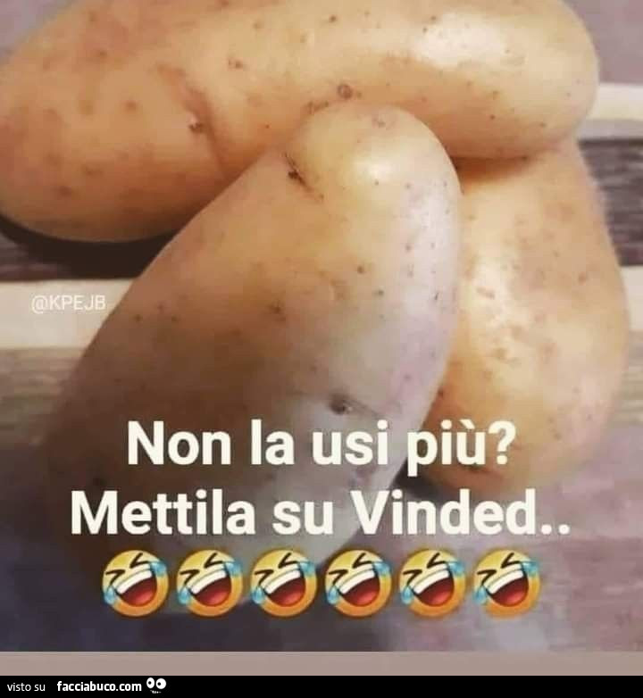 Vaccata
