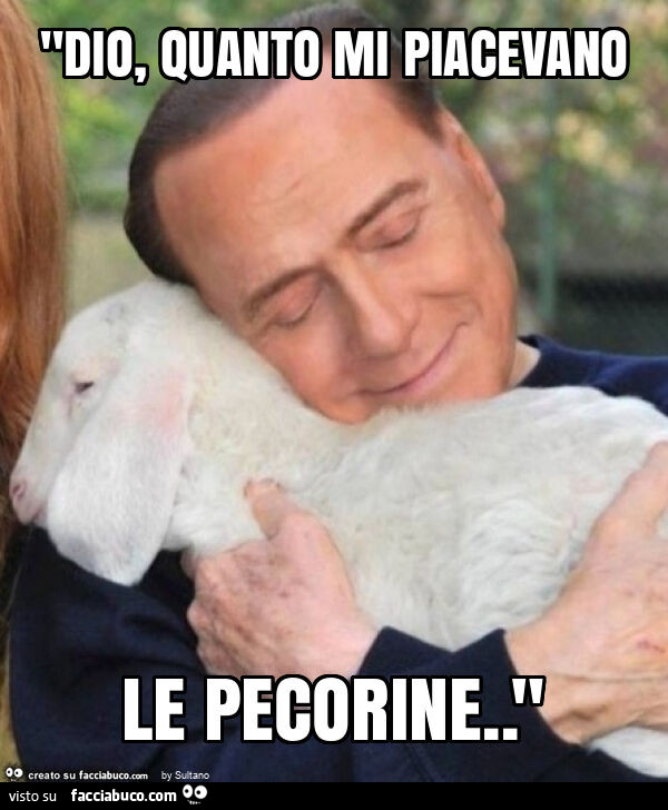 "dio, quanto mi piacevano le pecorine. "
