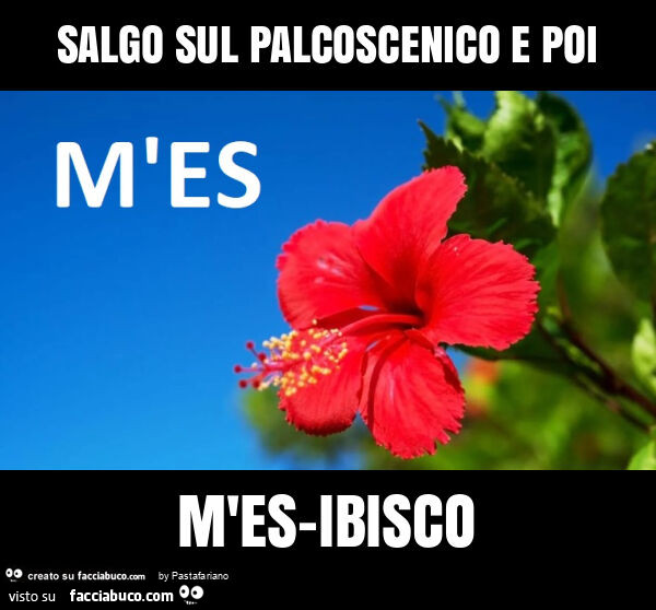 Salgo sul palcoscenico e poi m'es-ibisco