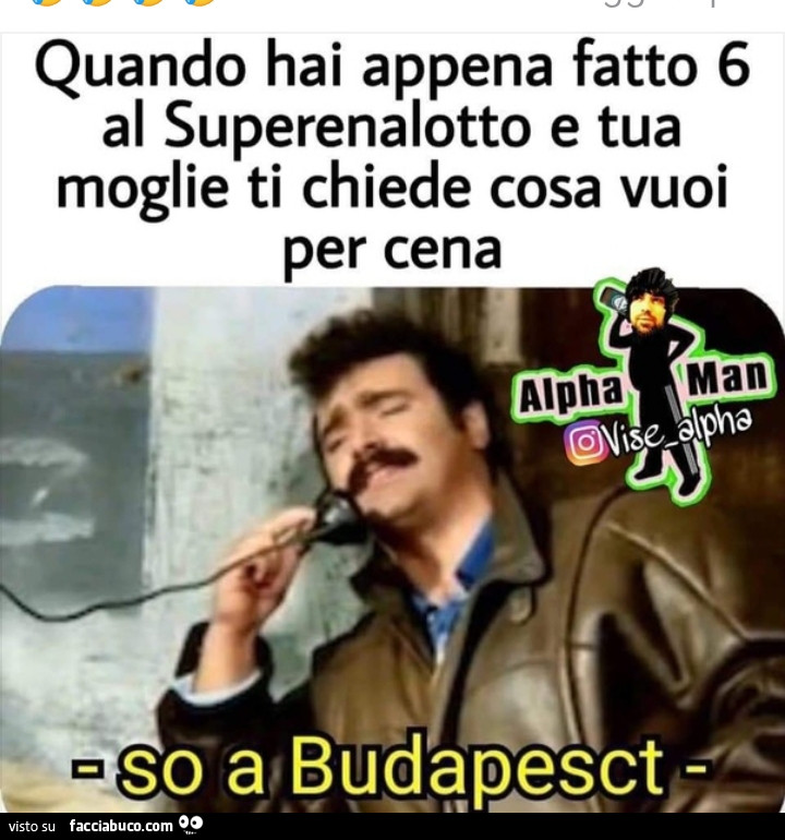 Vaccata