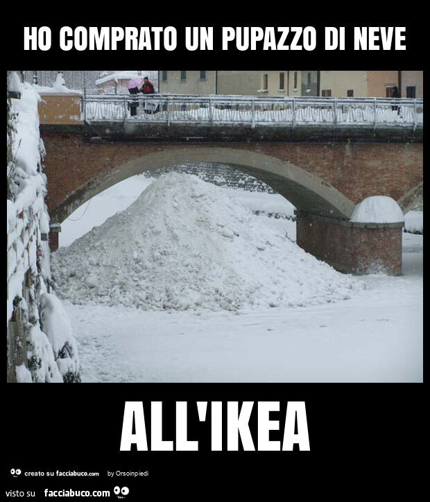 Ho comprato un pupazzo di neve all'ikea
