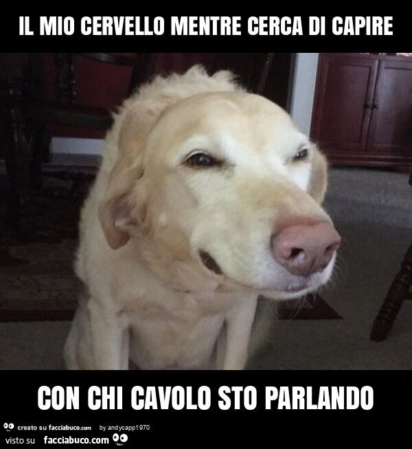 Il mio cervello mentre cerca di capire con chi cavolo sto parlando