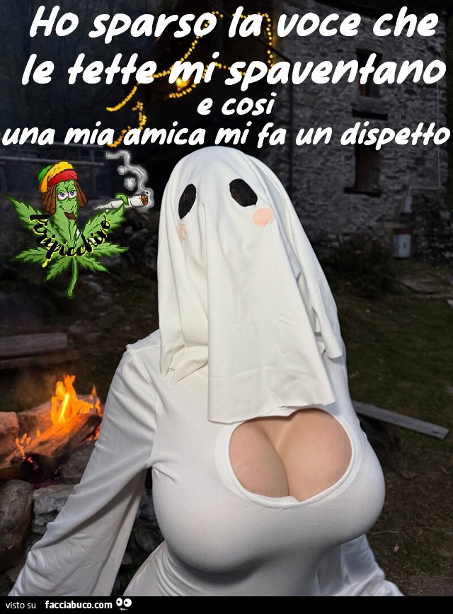 Vaccata