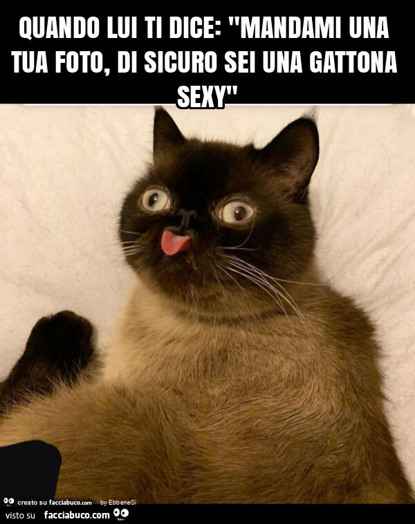 Quando lui ti dice: "mandami una tua foto, di sicuro sei una gattona sexy"