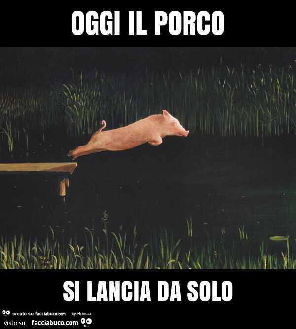Oggi il porco si lancia da solo