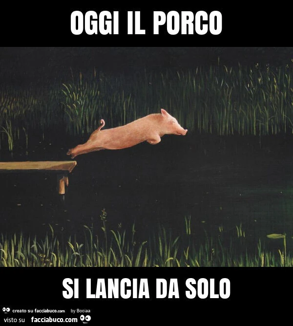 Oggi il porco si lancia da solo