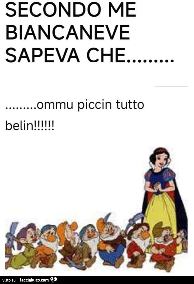 Secondo me biancaneve sapeva che ommu piccin tutto belin