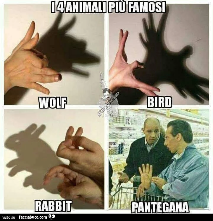 Vaccata