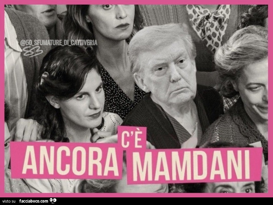 C'รจ ancora Mamdani