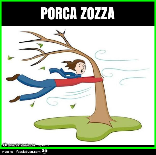 Porca zozza
