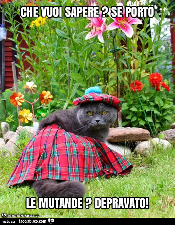 Che vuoi sapere? Se porto le mutande? Depravato